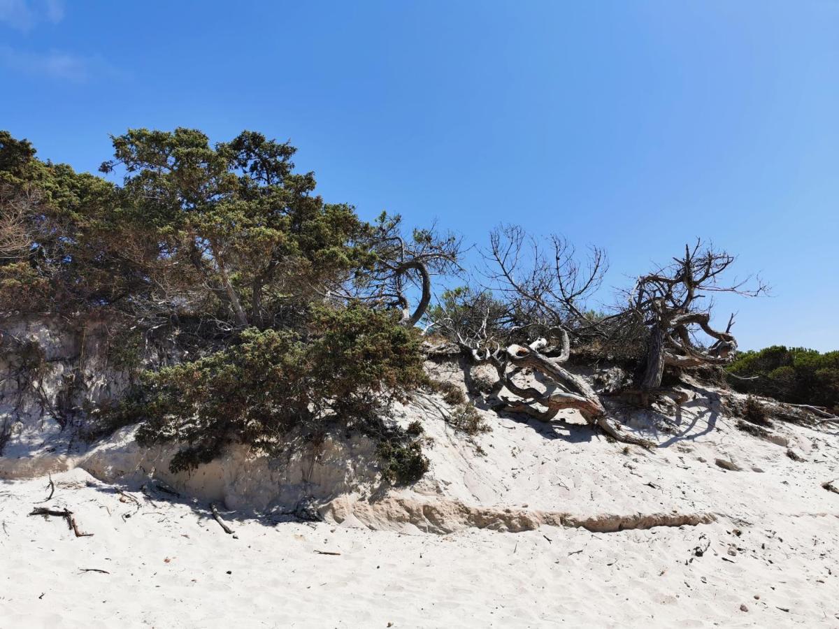 Alghermanzoni Alghero Exteriér fotografie