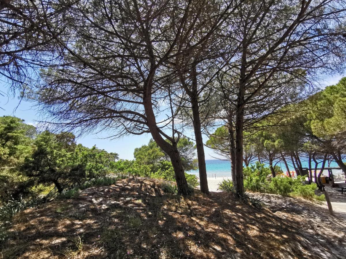 Alghermanzoni Alghero Exteriér fotografie